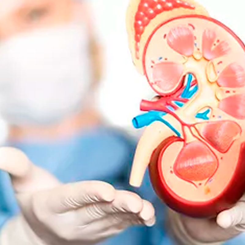 Urologia